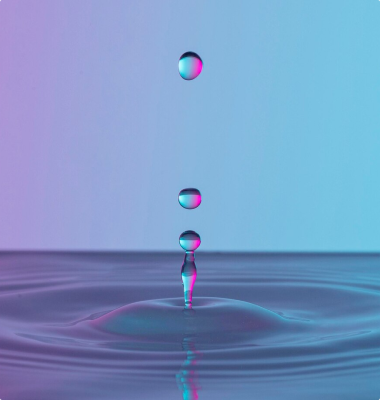 Portfolio 5